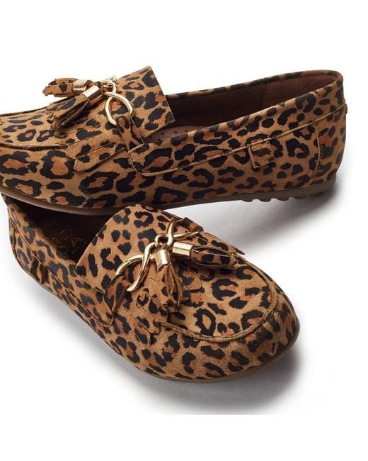 Moda In Pelle Brown Essana Leopard Suede