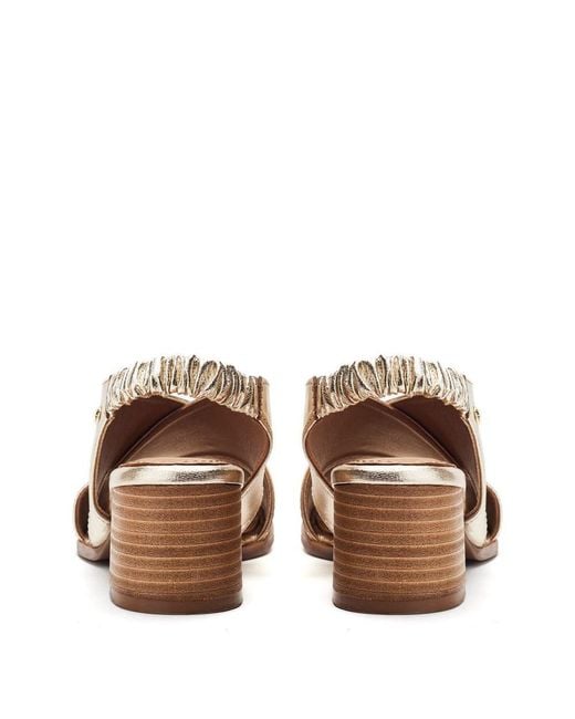 Moda In Pelle Metallic Prinia Champagne Leather
