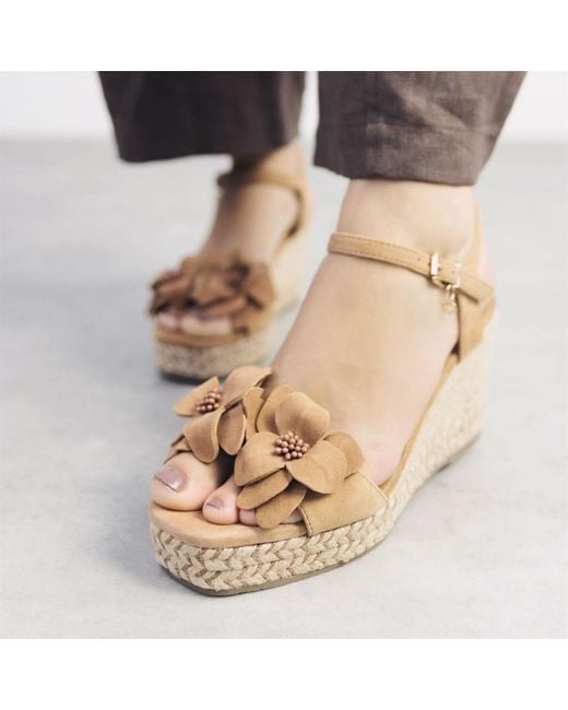 Moda In Pelle Brown Mistee Suede