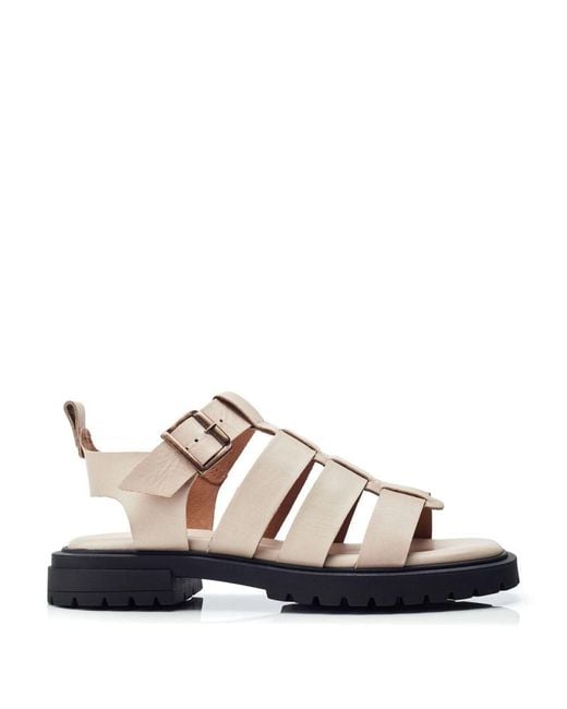 Shoon Brown Sh Inshore Off Leather