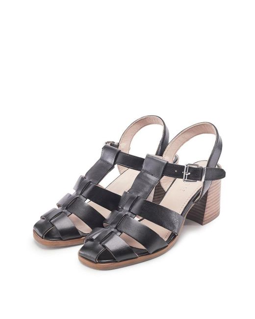 Shoon Blue Sh Gerrie Leather
