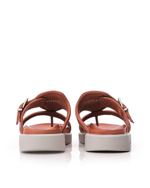 Shoon Brown Sh Impost Leather