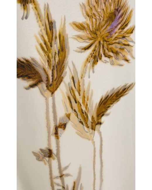 Altuzarra Natural Jools Printed Silk Maxi Dress