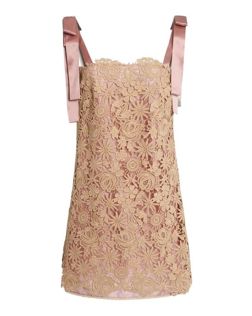 Valentino Garavani Brown Lace Cotton-Blend Mini Dress