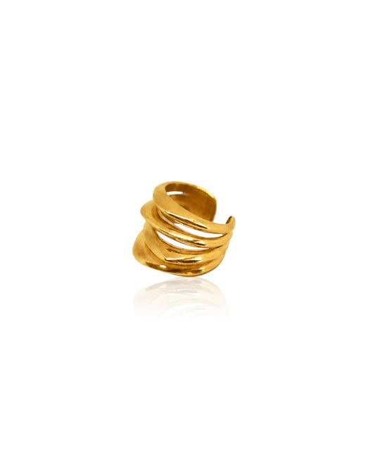 AYSHA BILGRAMI Metallic 24K Vermeil Vayu Ring Ear Cuff