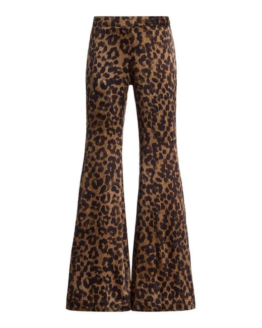 Franchise Brown Zaoua Leopard Silk Pants