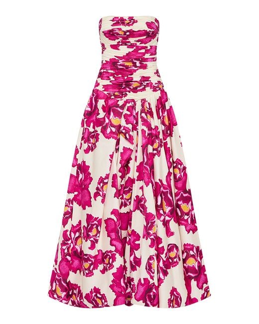 aje behold ruched floral cotton maxi dress Behold Maxi Dress-BOLDLY BLOOMING COBALT / 6