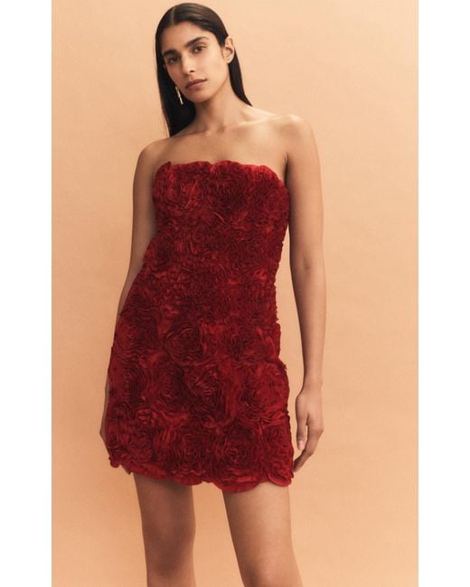 Aje. Red Strapless Rosette-gazer Mini Dress