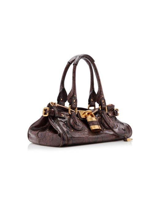 Chloé Brown Paddington Python-Embossed Leather Shoulder Bag