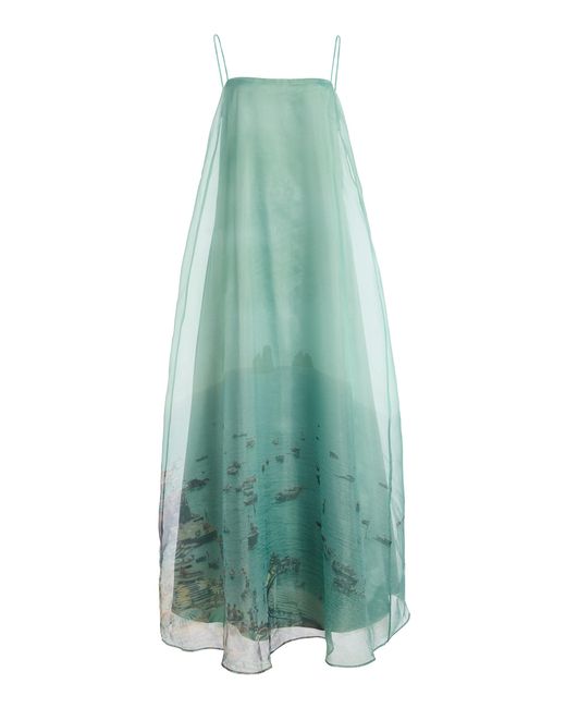 Staud Green Delfina Printed Organza Maxi Dress