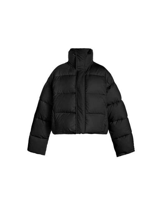 balenciaga bubble coat