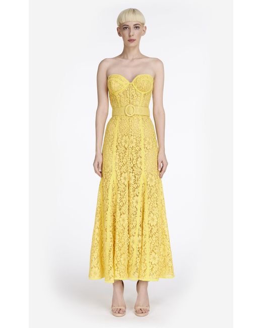 Costarellos Sharie Lace Bustier Maxi Dress in Yellow Lyst Australia