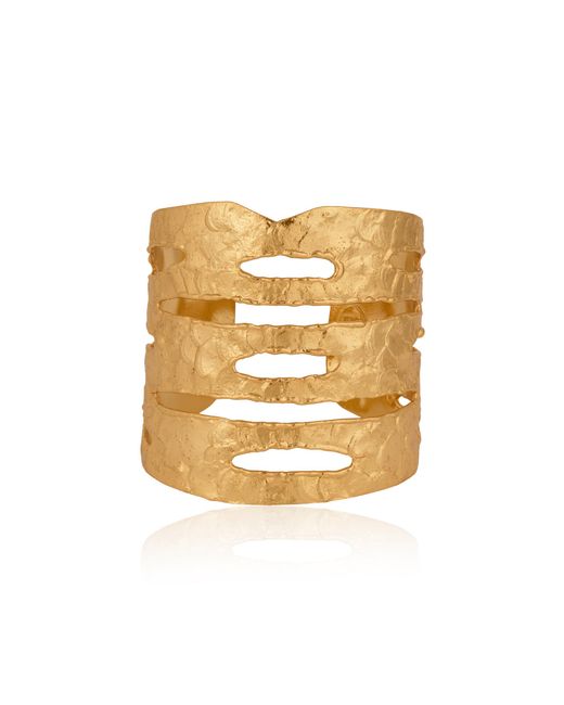 Sylvia Toledano Metallic Plated Nude Bracelets