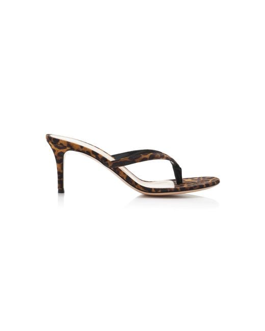 Gianvito Rossi Multicolor Calypso Leopard-Print Suede Sandals