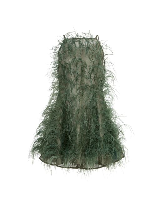 Cult Gaia Green Shannon Feather-embellished Silk-tulle Mini Dress