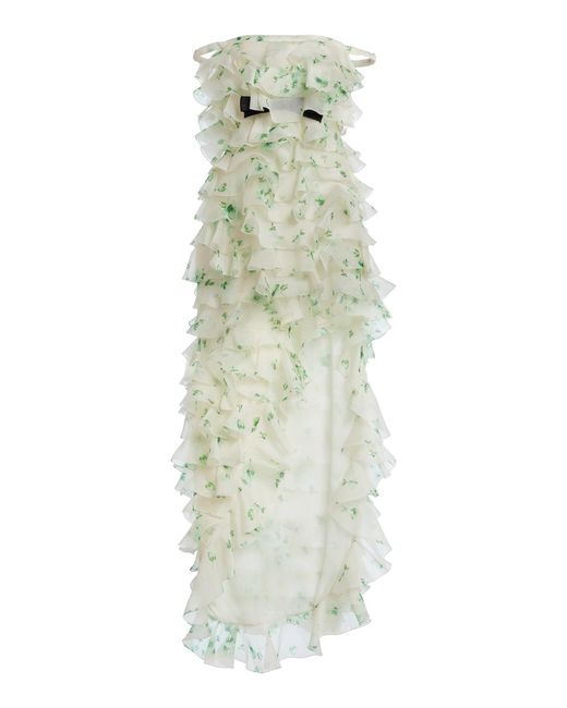 Giambattista Valli Multicolor Ruffled Organza Mini Dress