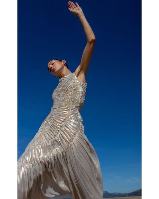 Chiffon maxi hotsell