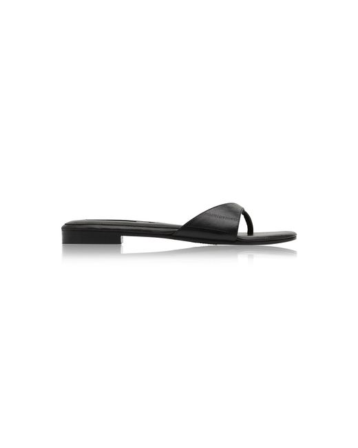 St. Agni Black Everyday Thong Flat