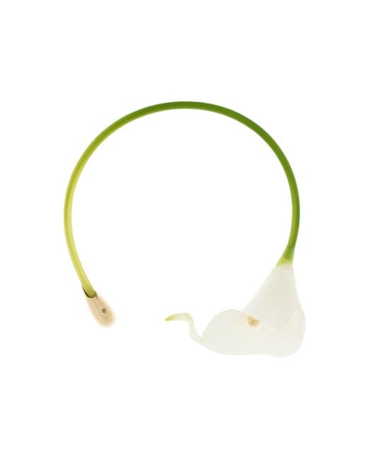 Cult Gaia White Calla Vine Choker