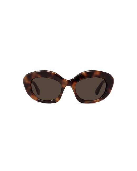 Loewe Brown Curvy Cat-eye Acetate Sunglasses