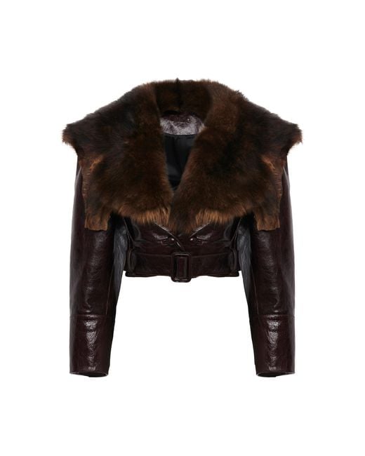Chloé Black Cropped Belted Shearling-Trimmed Glossed-Leather Jacket