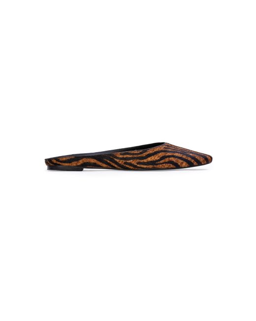 Black Suede Studio White Lucia Zebra Ponyhair Flats