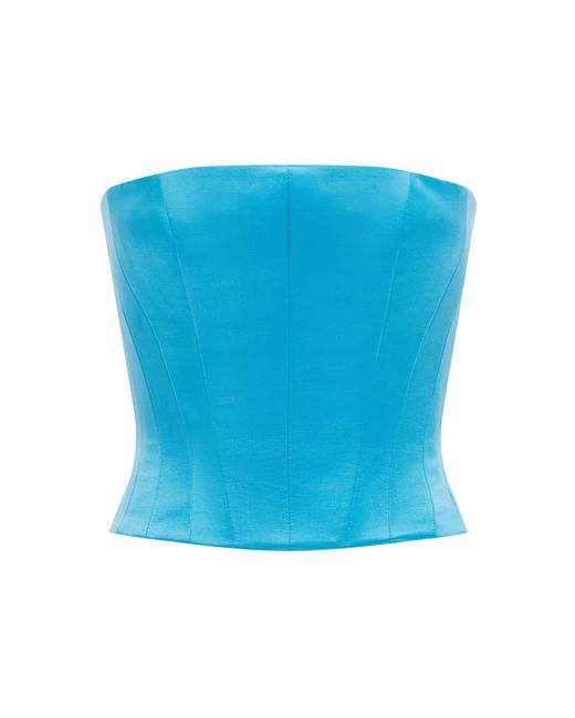 Alex Perry Blue Strapless Paneled Duchess Satin Corset Top
