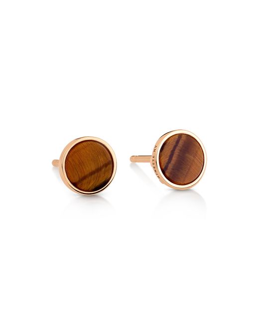Ginette NY Brown Ever Tiger's Eye Disc Earrings