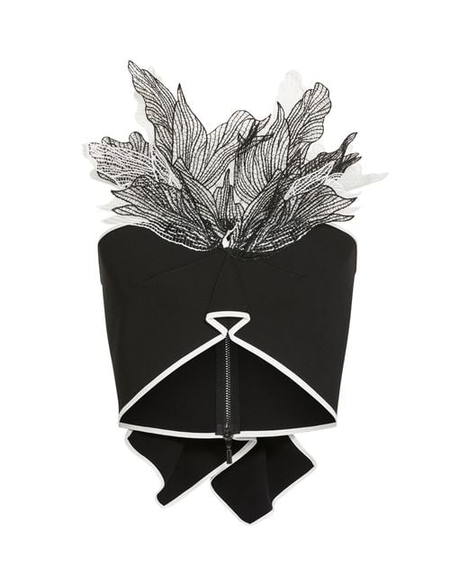 Maticevski Gray Eventuate Lace-Embellished Bustier Top