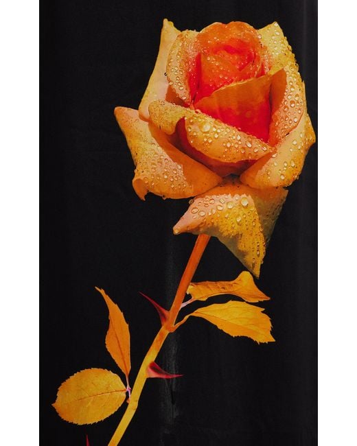 David Koma Black Rose-printed Silk Maxi Dress