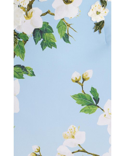 Oscar de la Renta Blue Ombré Embroidered Silk Gown