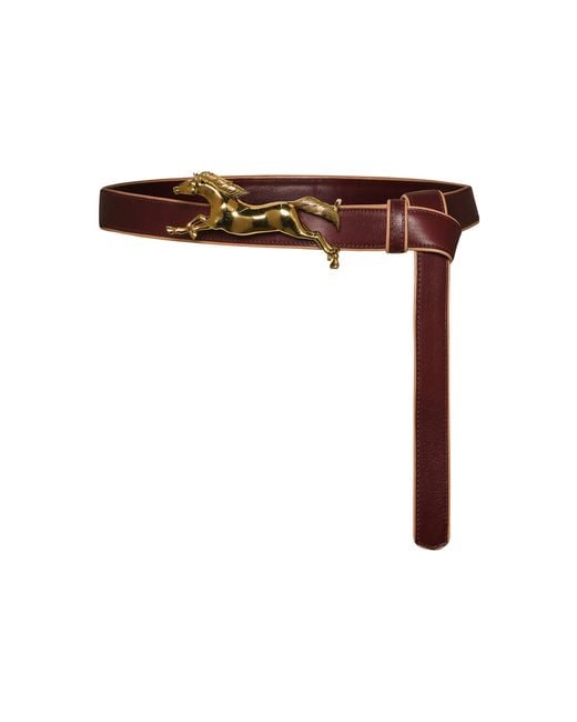 Johanna Ortiz Brown The Curated Jungle Belt