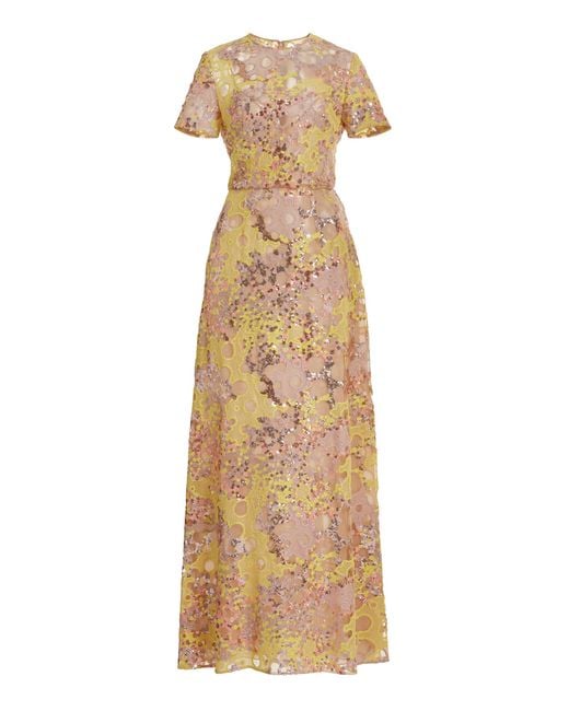Elie Saab Natural Embroidered Tulle Maxi Dress