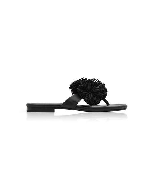 St. Agni Black Urchin Slide