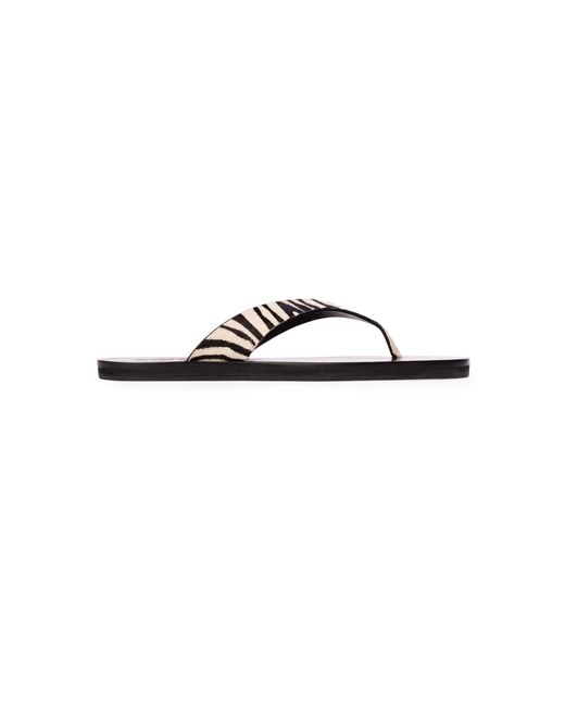 Black Suede Studio White Bae Zebra Ponyhair Flip Flops