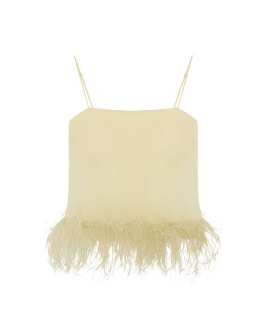 16Arlington Natural Illy Top
