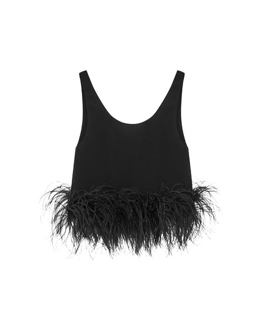 16Arlington Black Pippin Feather Top