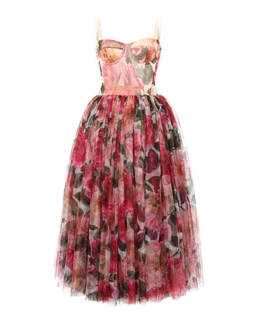 Dolce & Gabbana Multicolor Camellia-print Tulle Bustier Midi Dress