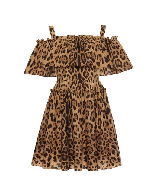Dolce & Gabbana Brown Off-the-shoulder Leopard-print Dress