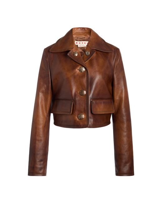 Marni Brown Oversized Collar Leather Jacket