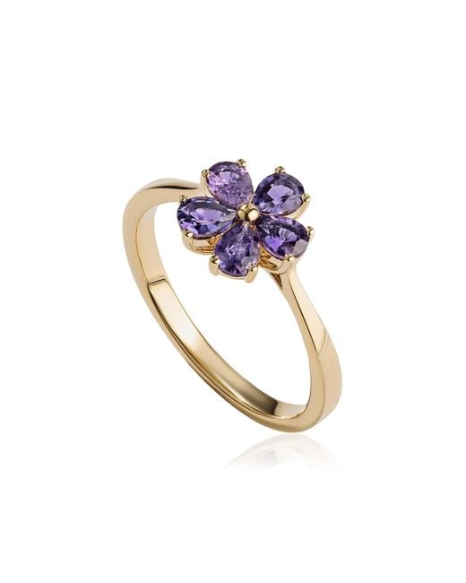 Julia Chafe Purple Gifts For Her