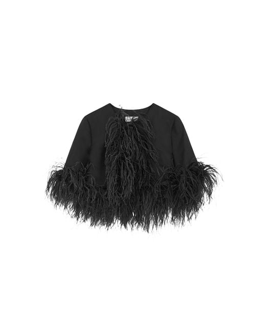 16Arlington Black Audra Silk Jacket