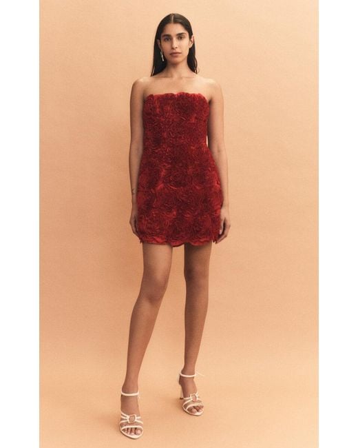 Aje. Red Strapless Rosette-gazer Mini Dress