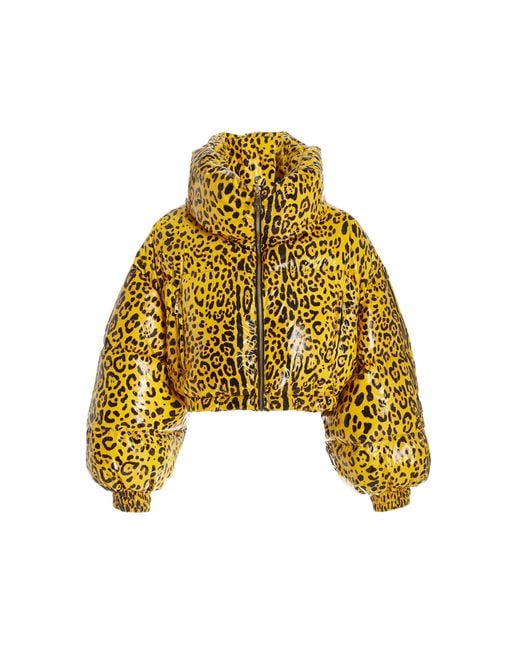 Dolce & Gabbana Yellow Leopard-printed Satin Down Puffer Jacket