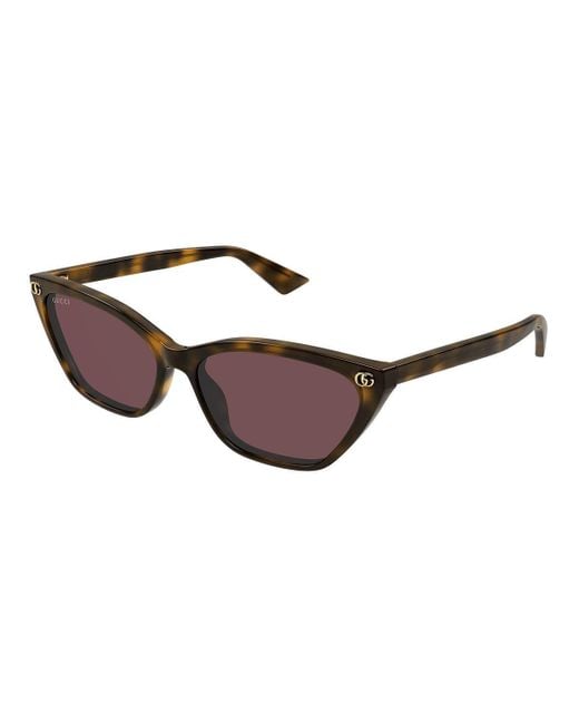 Gucci Brown Sunglasses