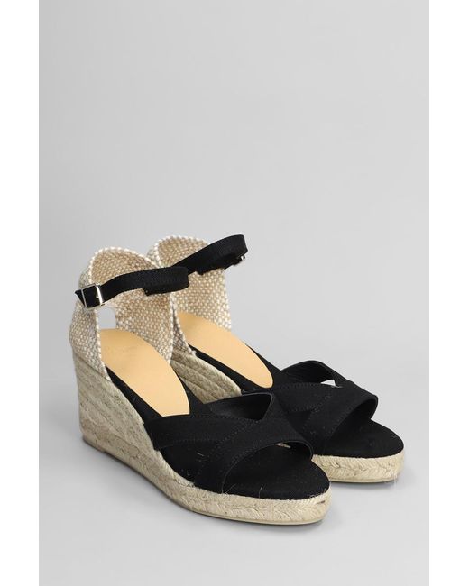 Castaner Black Bruna-6-001 Wedges