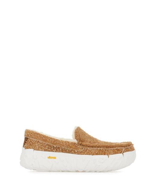 Ugg Brown Slippers for men