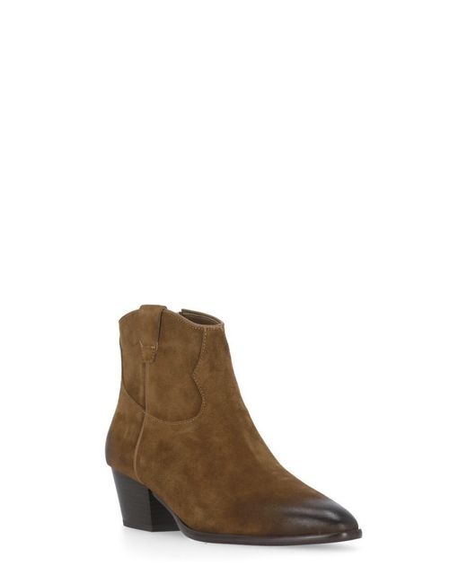 Ash Women's Boot Hasley Brown