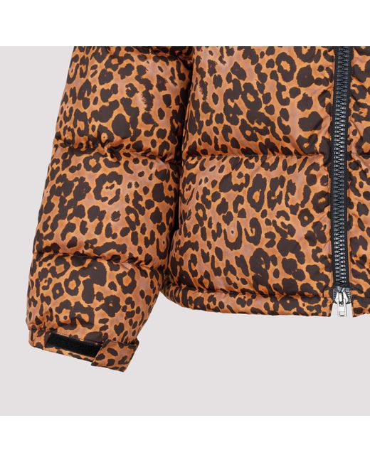 Vetements Brown Stylish Leopard Print Puffer Jacket For