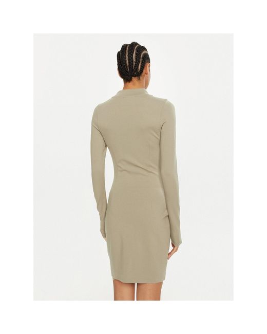 Calvin Klein Brown Kleid Für Den Alltag J20J225395 Regular Fit